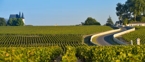 histoire du vin