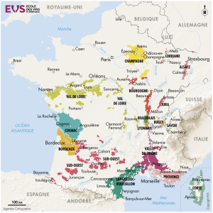 histoire du vin