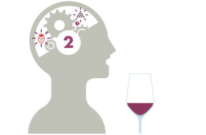 Expérience de la dégustation de vin