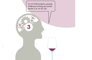 jugement qualitatif du vin
