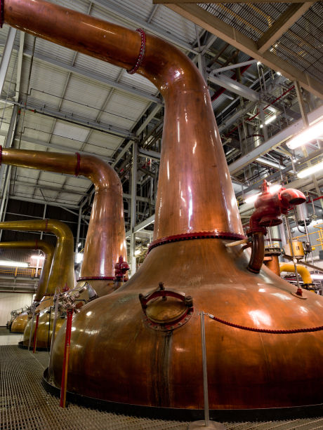 Distillerie pour la production de whiskey irlandais