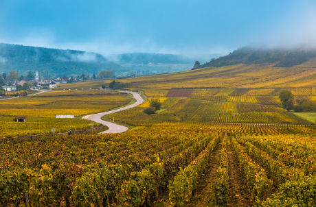 Vente aux enchères des vins maison Christie’s