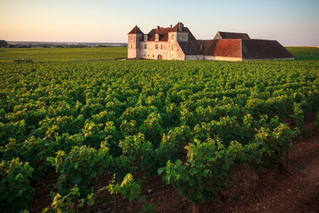 Château cours Grands Crus