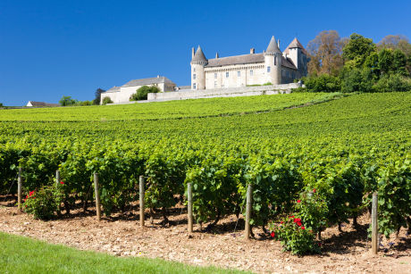 où acheter du vin