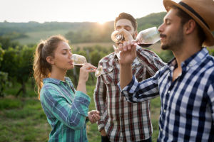 dégustation de vin rouge