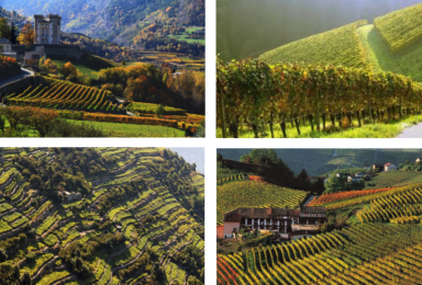 vins du Nord-Est de l'Italie