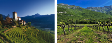 vins du Nord-Est de l'Italie