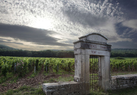 Château cours Grands Crus