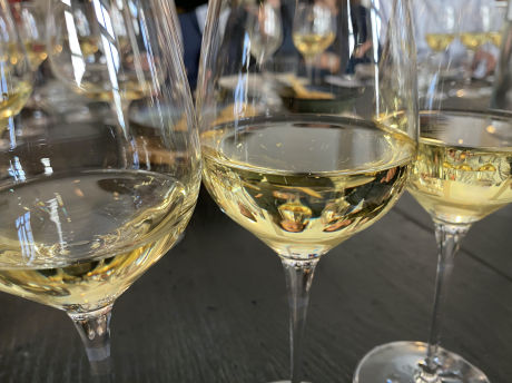 Verres de vin blanc