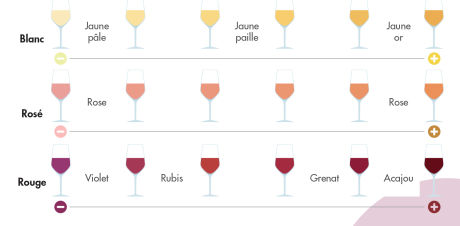 Couleur et intensité du vin