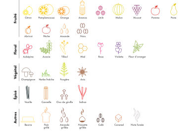 Le profil aromatique des vins blancs