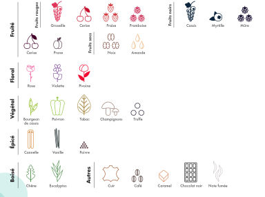 Le profil aromatique des vins rouges